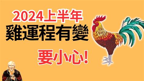 屬雞今年運勢